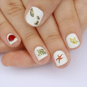 Beachcombing Nail Art Transfers By Kate Broughton