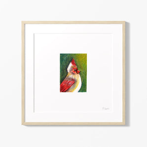 Cardinal Lady 8x8 Print By Bryanna Chapeskie