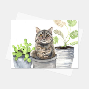 Cat In Pot Card By Sarah Duggan Creative Works