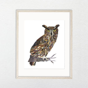 Great Horned Owl Collage 8.5x11 Print By A. K. Doak