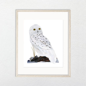 Snowy Owl Collage 8.5x11 Print By A. K. Doak