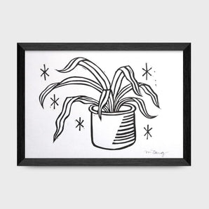 Spider Plant 5x7 Print By Boyshouts