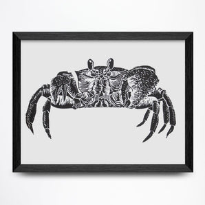 Crab 8x6 Print By Fine Art Erin Hollingshead