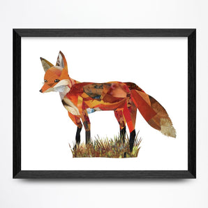 Fox Collage 11x8.5 Print By A. K. Doak