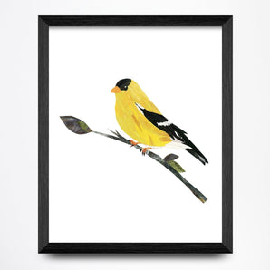 Goldfinch Collage 8.5x11 Print By A. K. Doak