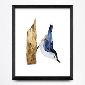 Nuthatch Collage 8.5x11 Print By A. K. Doak