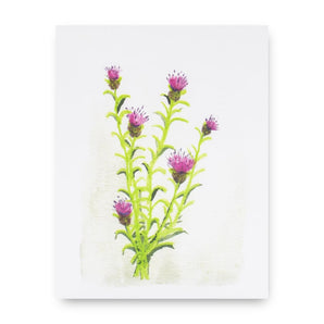 Pink Thistle Card By Little Foible