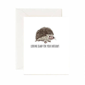 Sharp Hedgehog Birthday Card By Jaybee Design