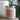 The Palm 8oz Soy Candle By Alben Lane