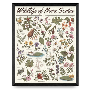 Flora - Wildlife of Nova Scotia 16x20 Print By Midnight Oil