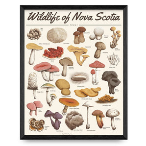 Fungi - Wildlife of Nova Scotia 16x20 Print By Midnight Oil